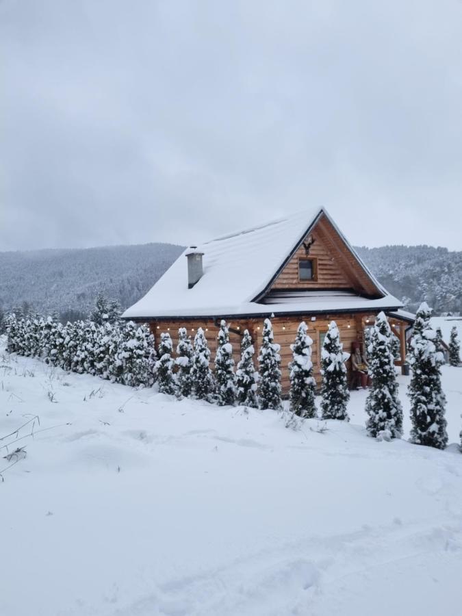 Jodlowa Chata Myślenice Dış mekan fotoğraf